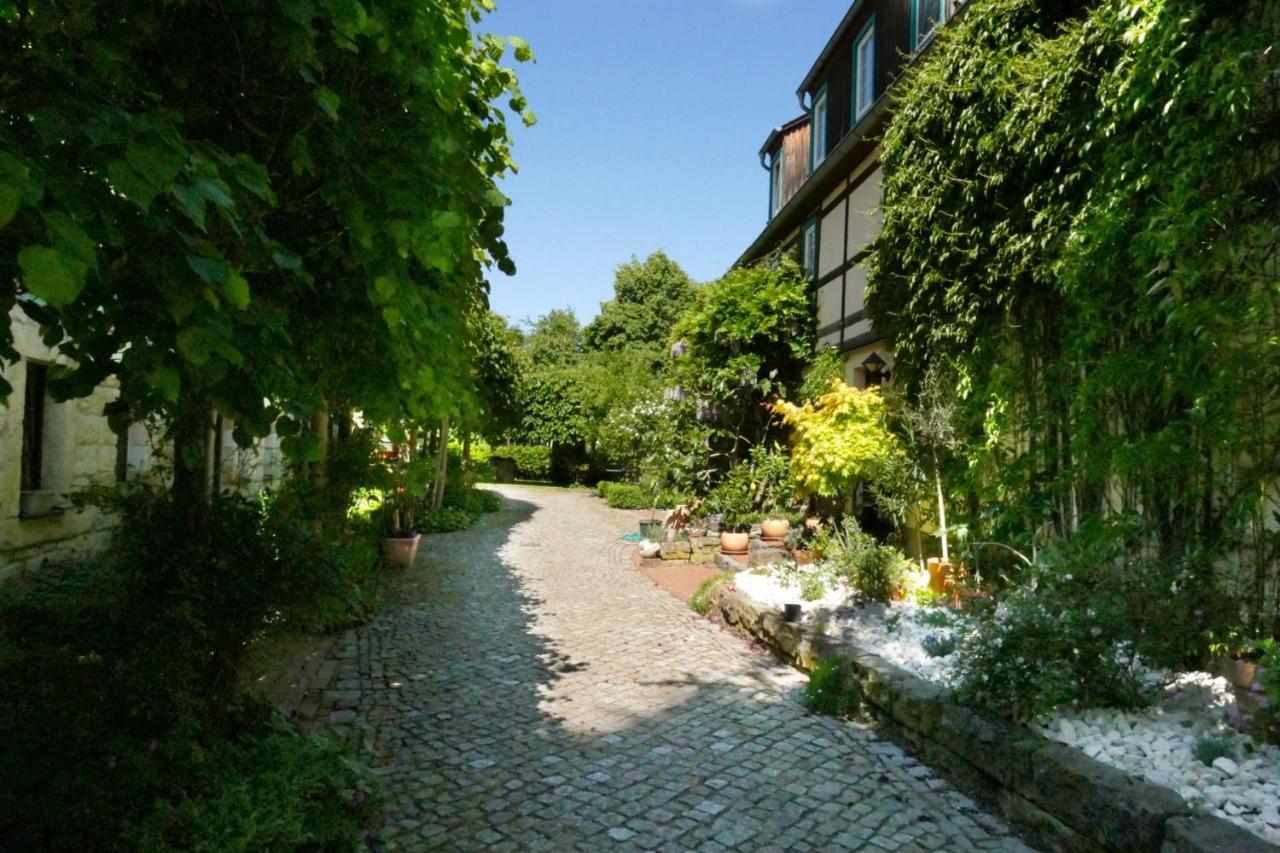 Apartment No.5 - Schkade Kleingiesshubel