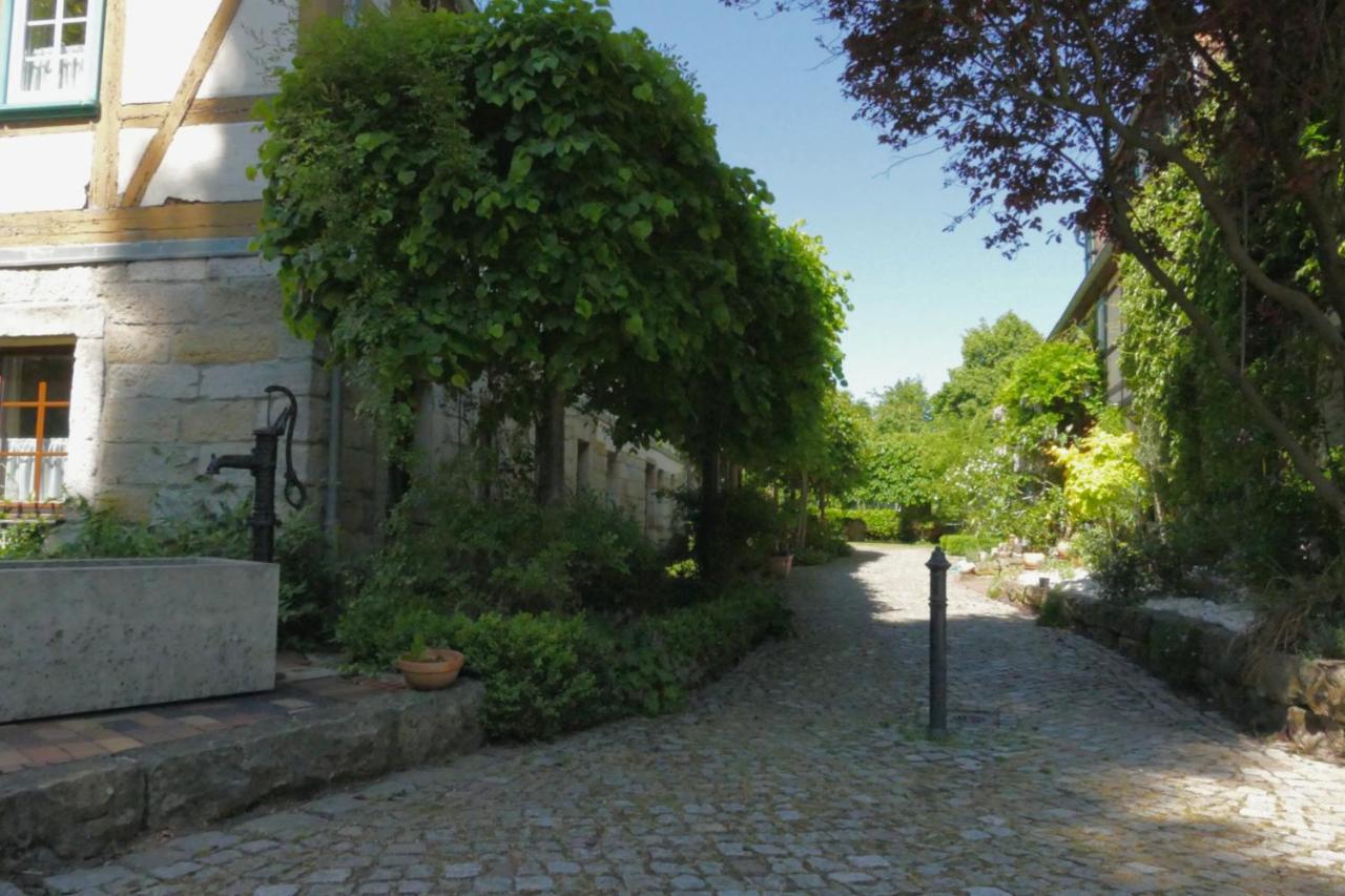 Apartment No.5 - Schkade *